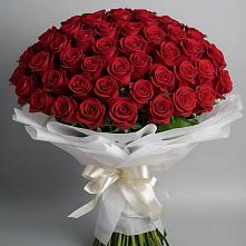 Букет 101 Красная роза Блэк Мэджик в Долиновке