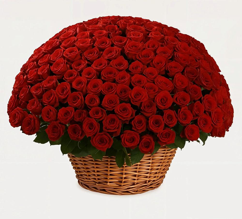 Премиум букет из: Розы в Долиновке