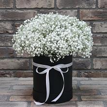 Цветочная композиция из Гипсофила в шляпной коробке в Долиновке