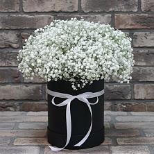 Цветочная композиция из Гипсофила в шляпной коробке в Долиновке